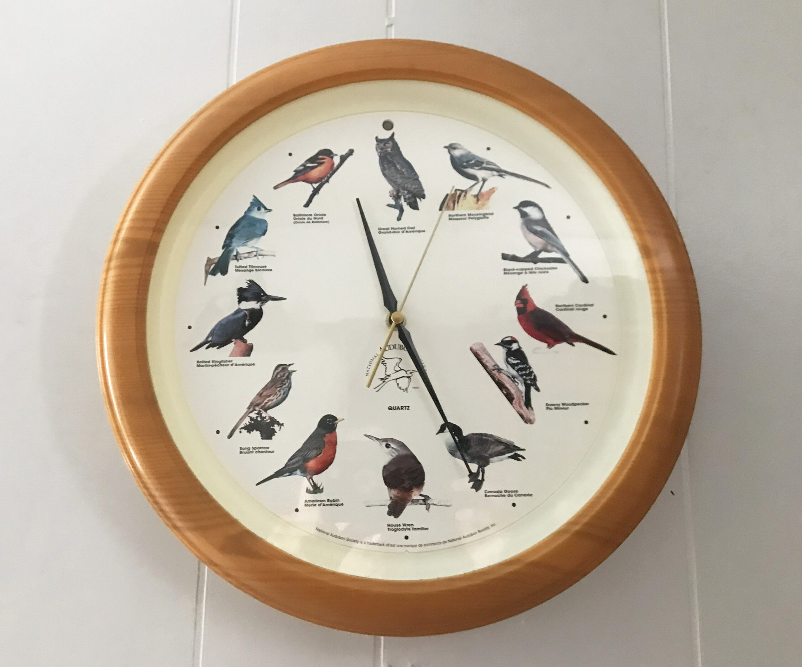 birdclock